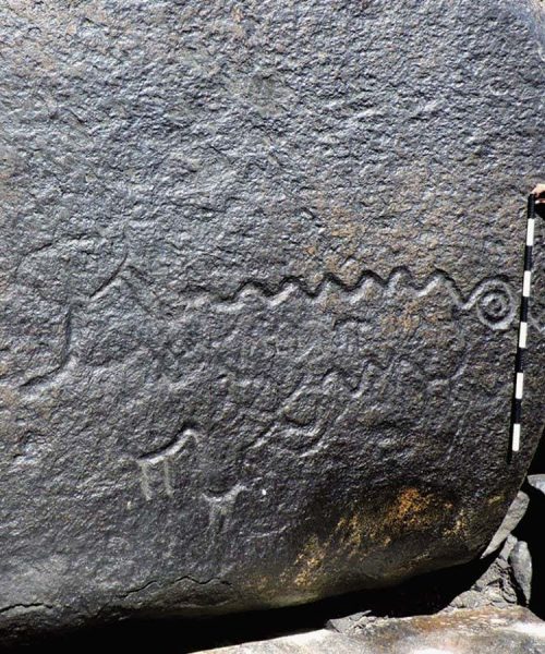 Ancient snake drawings are among the largest known rock art worldwide