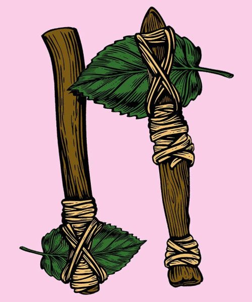 Before the Stone Age: Were the first tools made from plants not rocks?