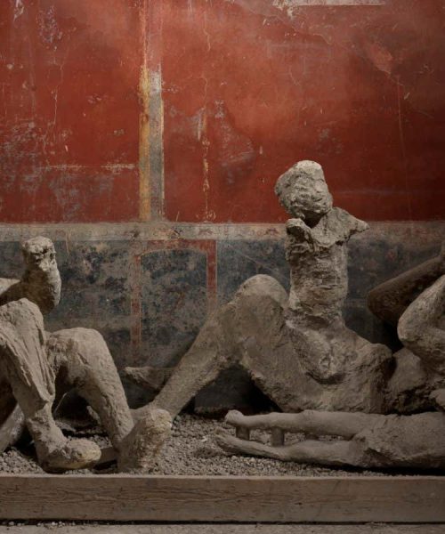 DNA analysis rewrites the stories of people buried in Pompeii