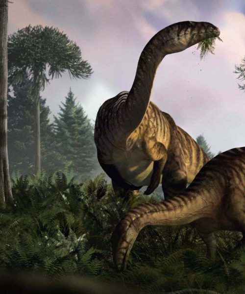 Fossilised droppings tell the story of dinosaurs’ rise to power