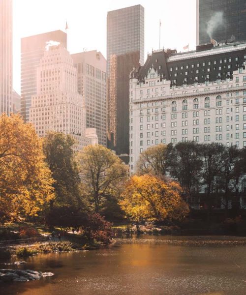 Google Street View helps map how 600,000 trees grow down to the limb