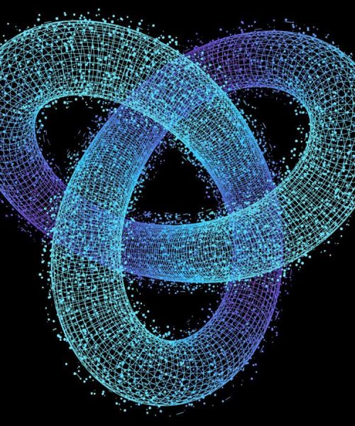 Knots made in a weird quantum fluid can last forever
