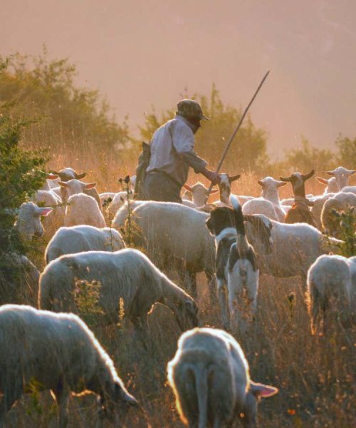 Nomads thrived in Greece after the collapse of the Roman Empire