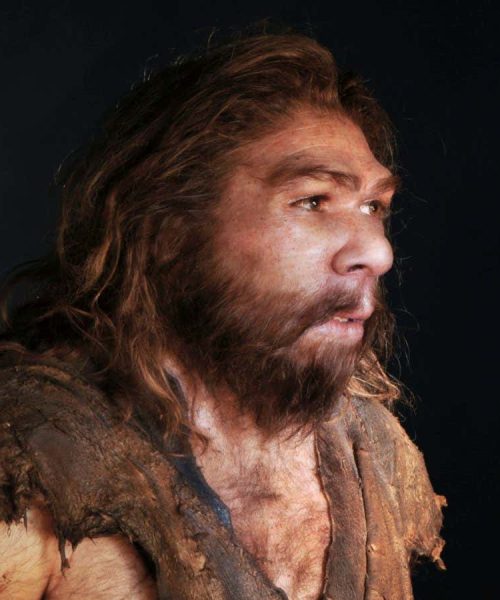 Oldest known human viruses found hidden within Neanderthal bones