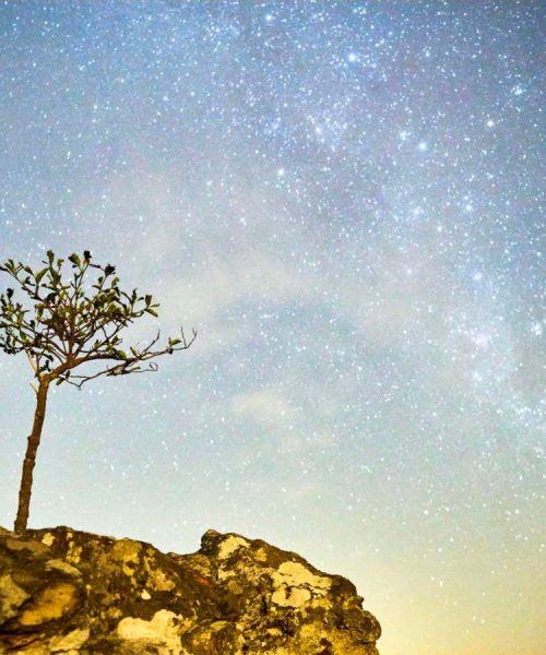 The best new science fiction books of 2024