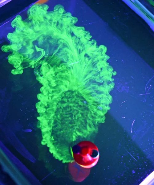 The way Cheerios stick together has inspired a new kind of robot