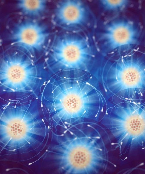 You can’t put a price on the sense of awe particle physics inspires