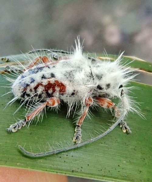 A festival of stunning animal pictures from 2024