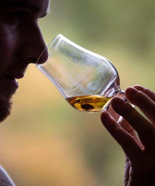 AI beats human experts at distinguishing American whiskey from Scotch