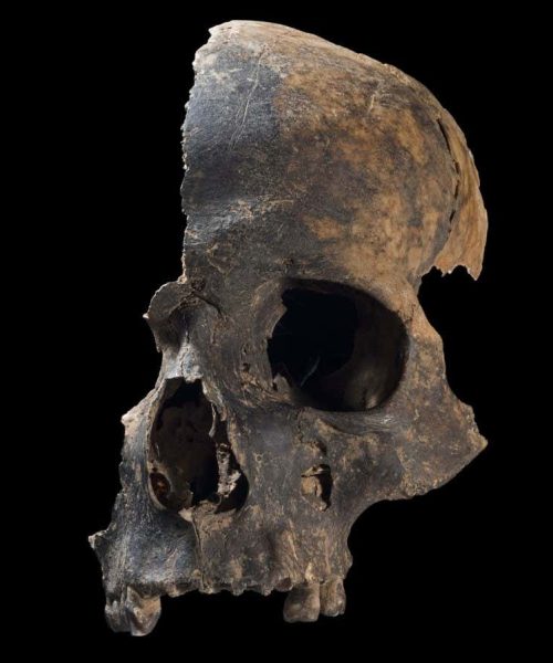 Butchered bones tell of shocking massacre in prehistoric Britain