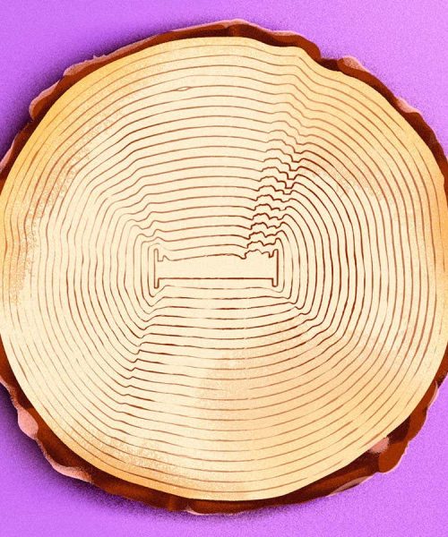 Could hibernation technology allow humans to skip winters?