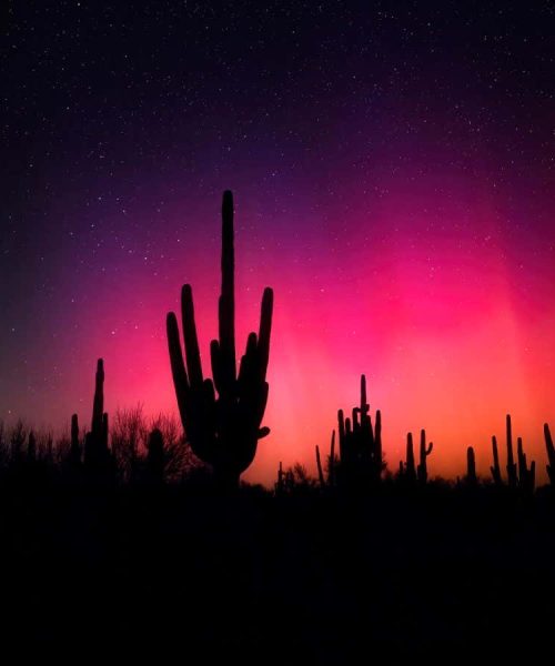 Dazzling auroras lit up the skies in 2024 and we may see more in 2025