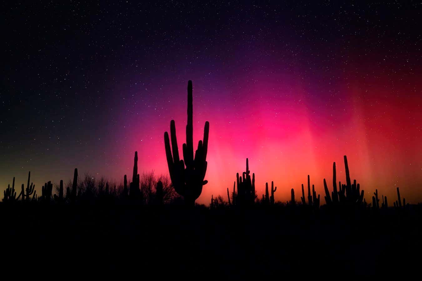 **$200 one-time use** 5/10/24 - taken at at 10:58pm Tuscon, Arizona, USA Sean Parker https://twitter.com/seanparkerphoto/status/1789254730268438939 WWW.SEAN-PARKER.COM