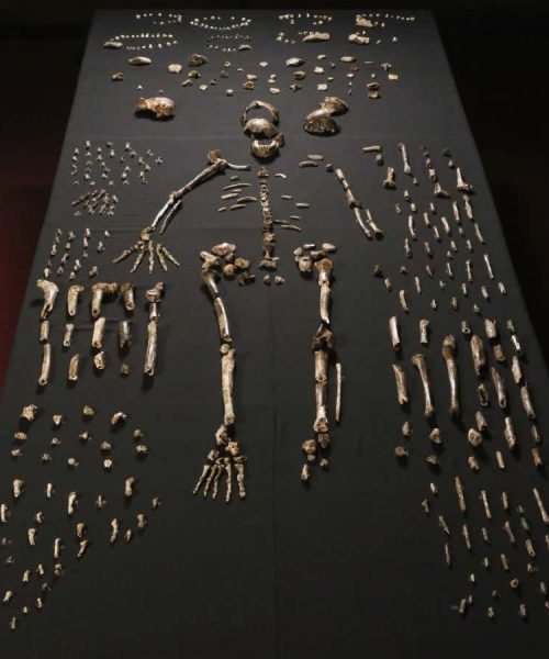 Engaging new podcast asks what the big things are that make us human