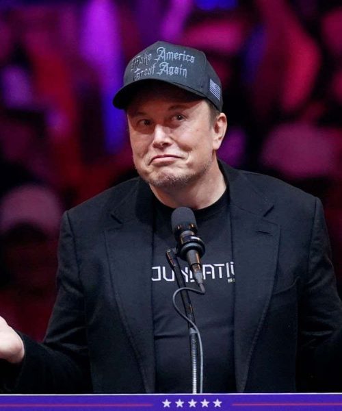 From Tesla to Trump, Elon Musk had a very busy 2024