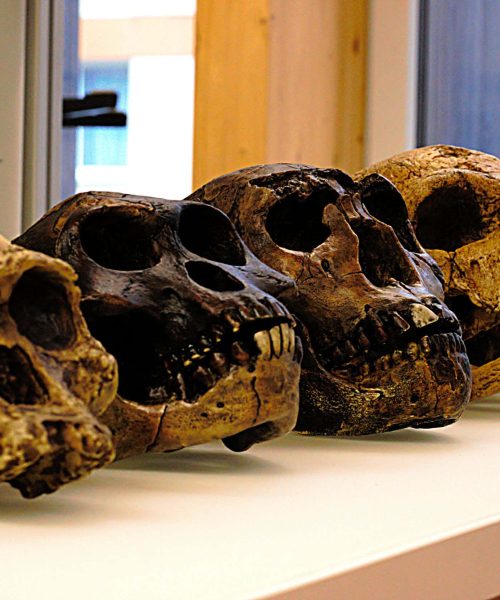 Game-changing archaeology from the past 5 years – and what’s to come