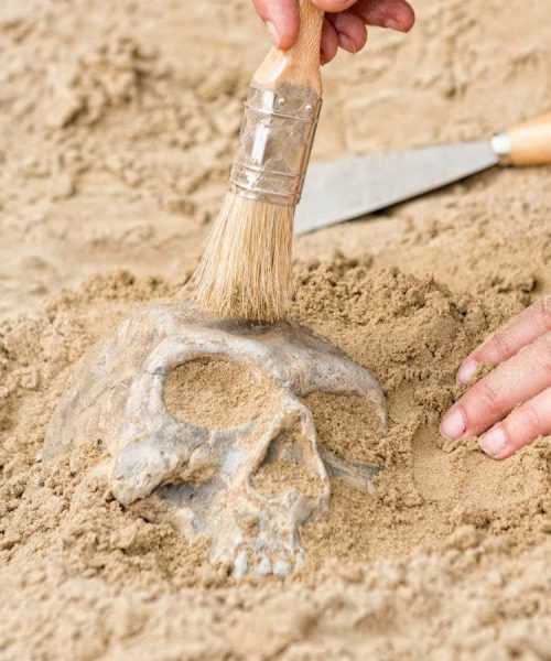 How DNA in dirt is reshaping our understanding of Stone Age humans