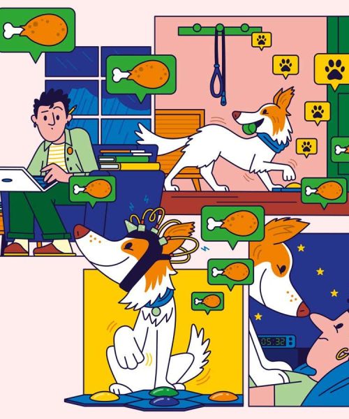 She’s obsessed with chicken! The tests revealing my dog’s inner life