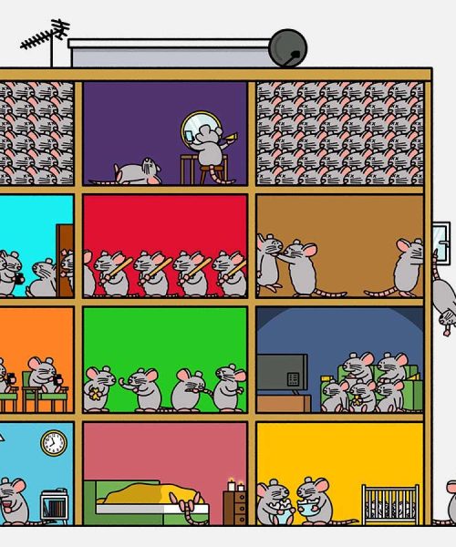 The bizarre story of a rodent utopia that predicted doom for humanity