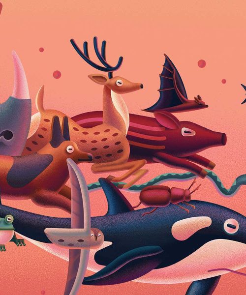 The extraordinary ways species control their own evolutionary fate