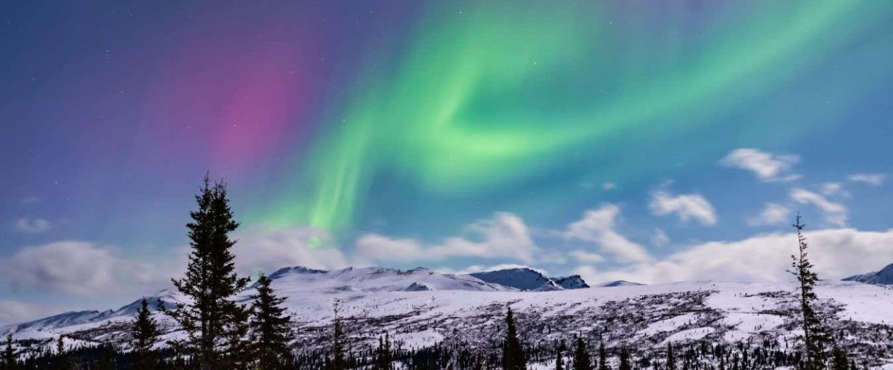 The stargazing events to look forward to in 2025