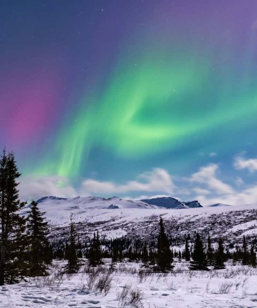 The stargazing events to look forward to in 2025