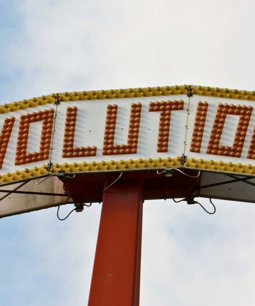 The theory of evolution can evolve without rejecting Darwinism