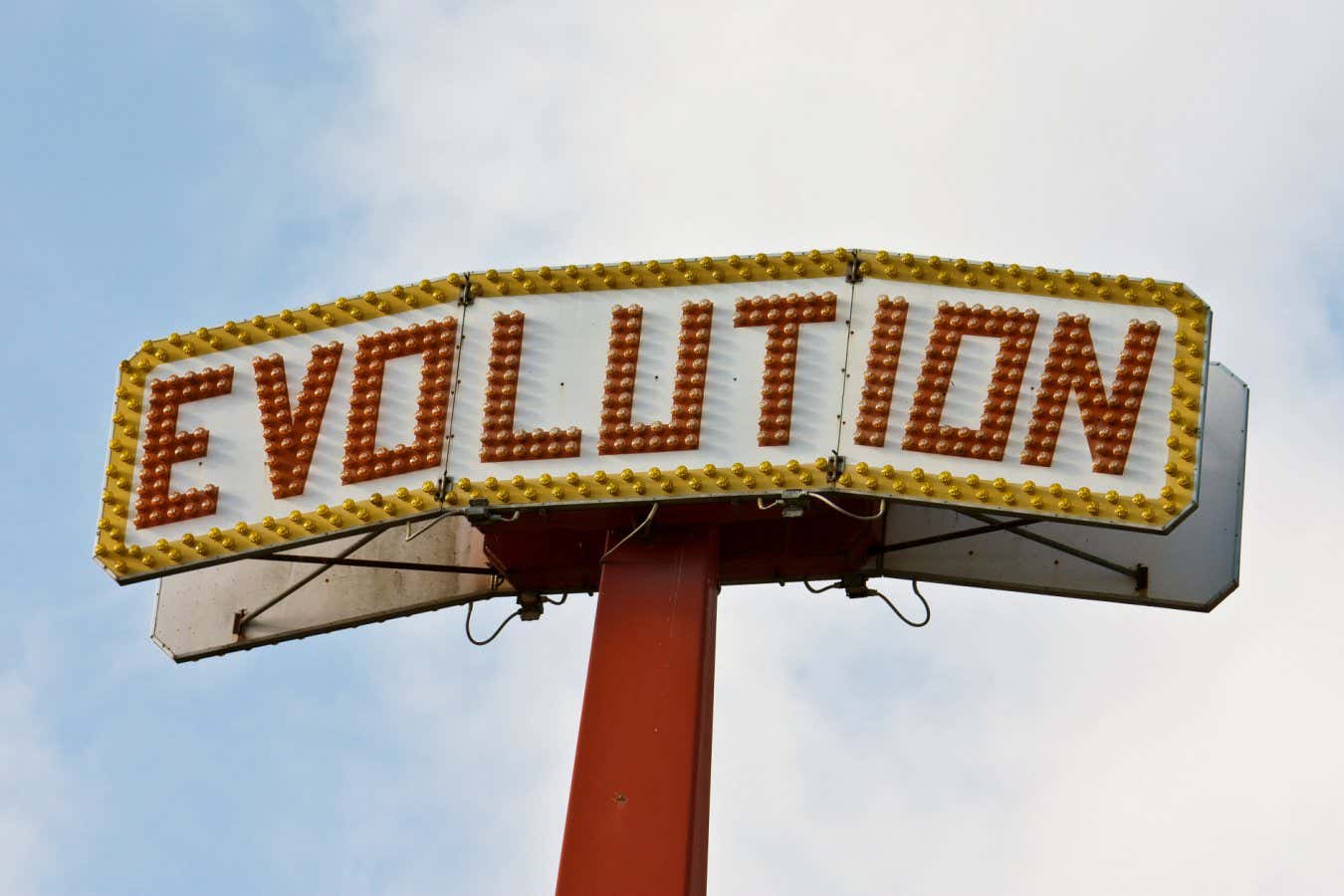 BRDEHN Evolution sign on a theme park ride.