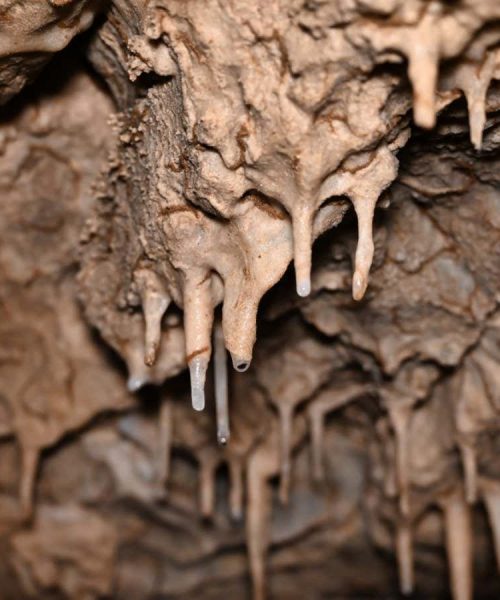 What ancient stalagmites can tell us about life on a hotter Earth