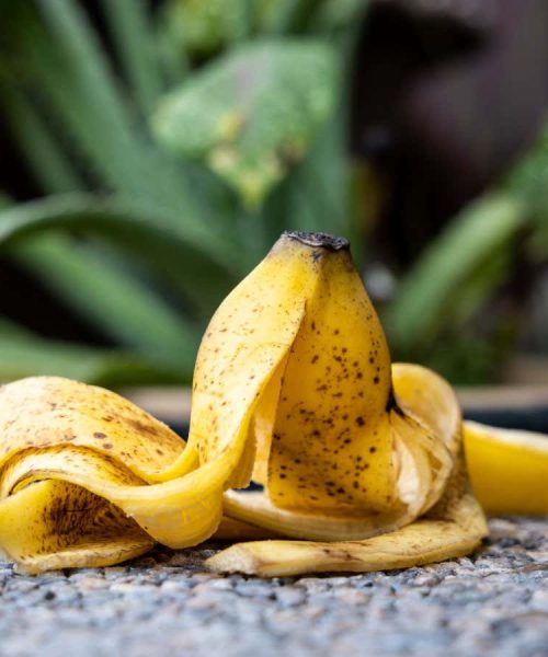 Can you use banana peels to fertilise your plants?