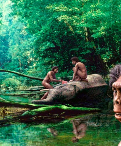 Climate change may have killed ancient ‘hobbit’ hominins
