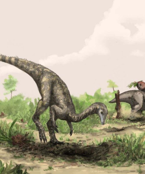 Dinosaurs may have first evolved in the Sahara and Amazon rainforest