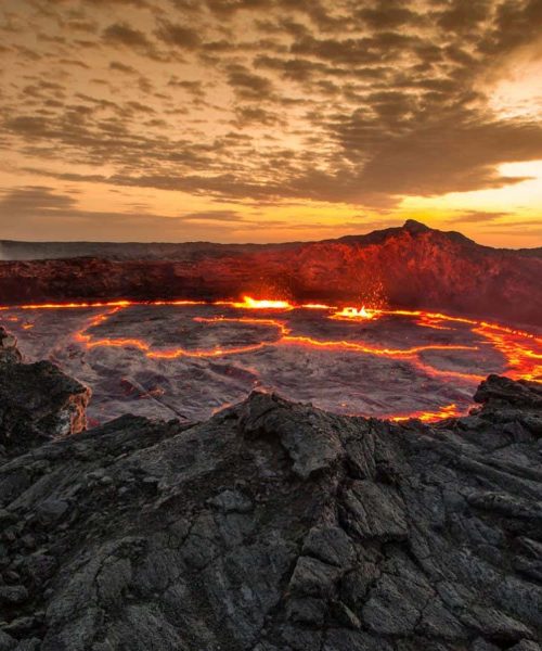 Has a volcanic eruption ever wiped out a species of hominins?