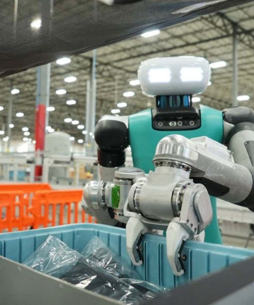 Humanoid robots will march into factories and homes in 2025