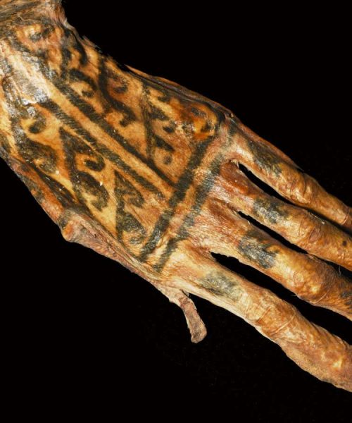 Intricate ancient tattoos revealed by shining lasers on mummies