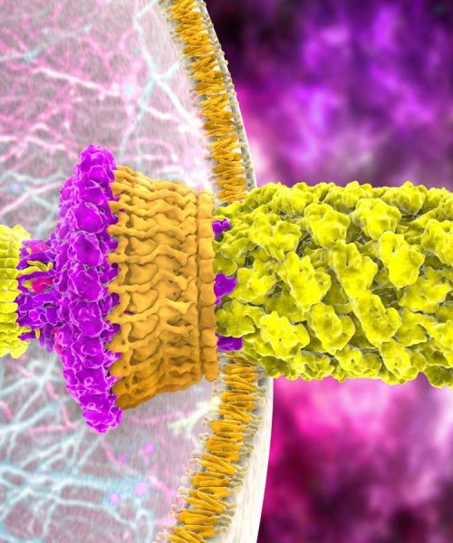 Motor made from bacteria parts is one of the smallest ever built