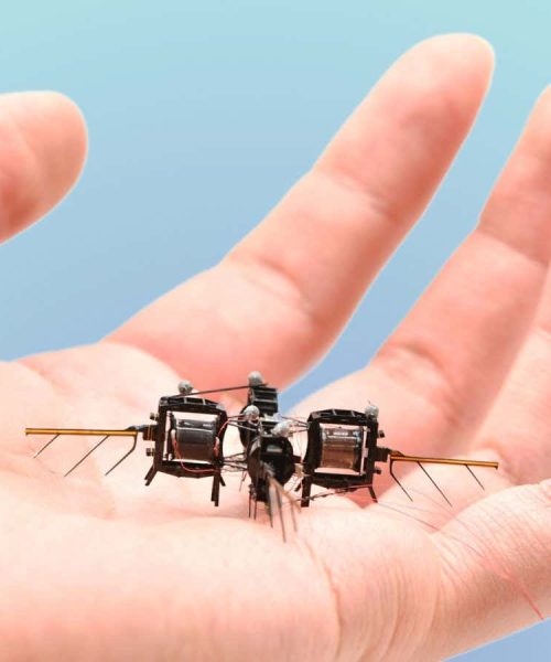 Tiny insect-like robot can flip, loop and hover for up to 15 minutes