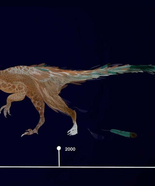 Why giving Jurassic Park’s velociraptors feathers is a good thing