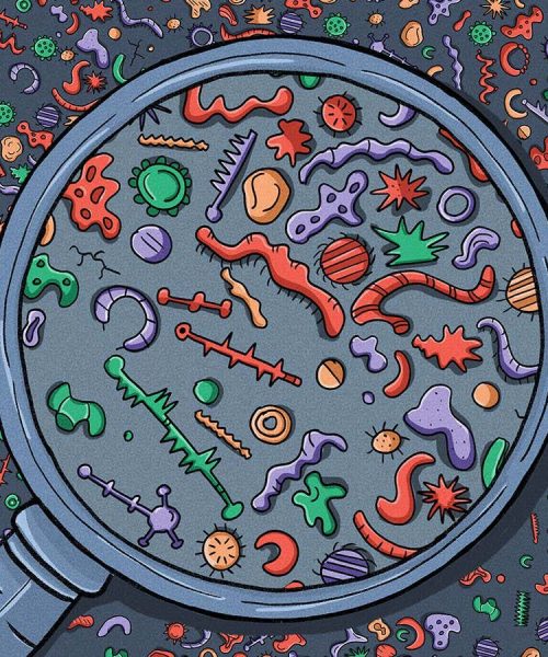 A whole new world of tiny beings challenges fundamental ideas of life