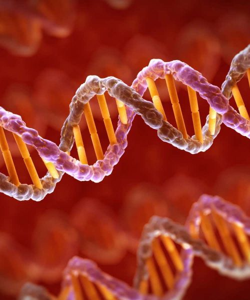AI can decode digital data stored in DNA in minutes instead of days