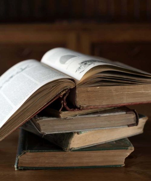 AI trained on novels tracks how racist and sexist biases have evolved