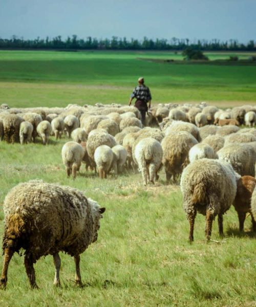 Enigmatic people who took over Europe millennia ago came from Ukraine