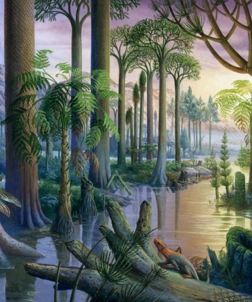 Gripping account of how plants and animals shaped each other