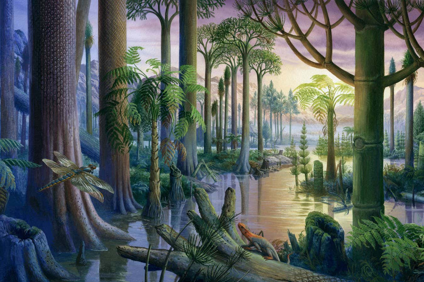 Illustrator?s signature must be included in all reproductions Carboniferous forest. Illustration of a flooded forest containing primitive plant species and fauna that existed during the Carboniferous period (360 to 286 million years ago). At bottom centre is a Hylonomus reptile. Its prey, a giant dragonfly (Meganeura monyi) is at left. The plants included Lepidodendron, an ancient lycopod also known as a scale tree. The Carboniferous forests gave rise to the coal deposits that fuel industry today.