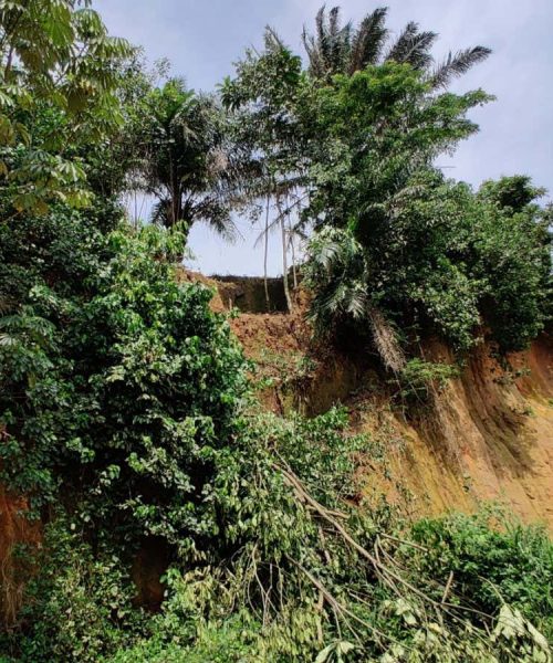 Humans were living in tropical forests surprisingly early