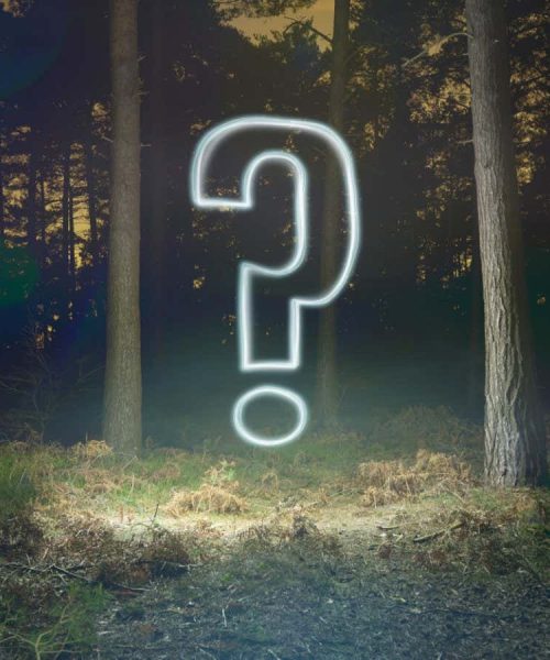 The 7 most consequential moments in the history of everything