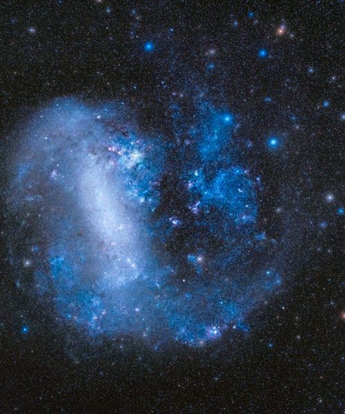 Tiny dwarf galaxy might house a supermassive black hole