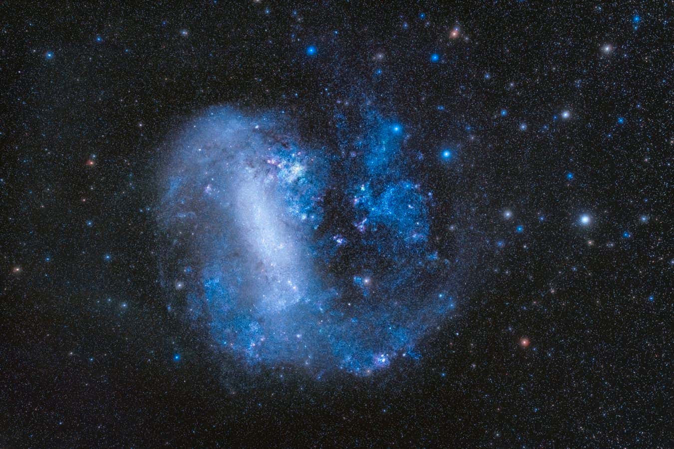 Large Magellanic Cloud