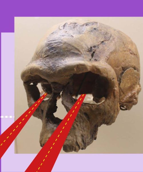 We’re uncovering a radically different view of civilisation’s origins