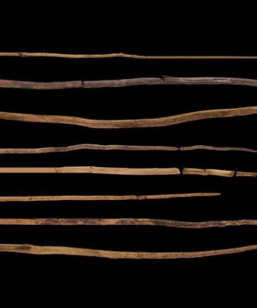 Ancient hunters may have used throwing spears 300,000 years ago